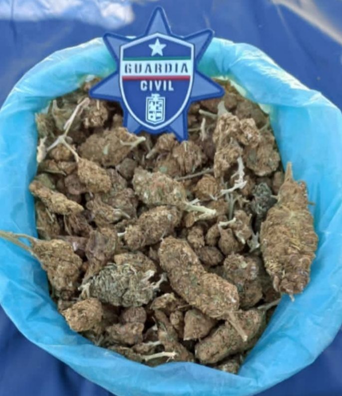 Asegura Guardia Civil un kilo de marihuana, en Morelia; hay un detenido