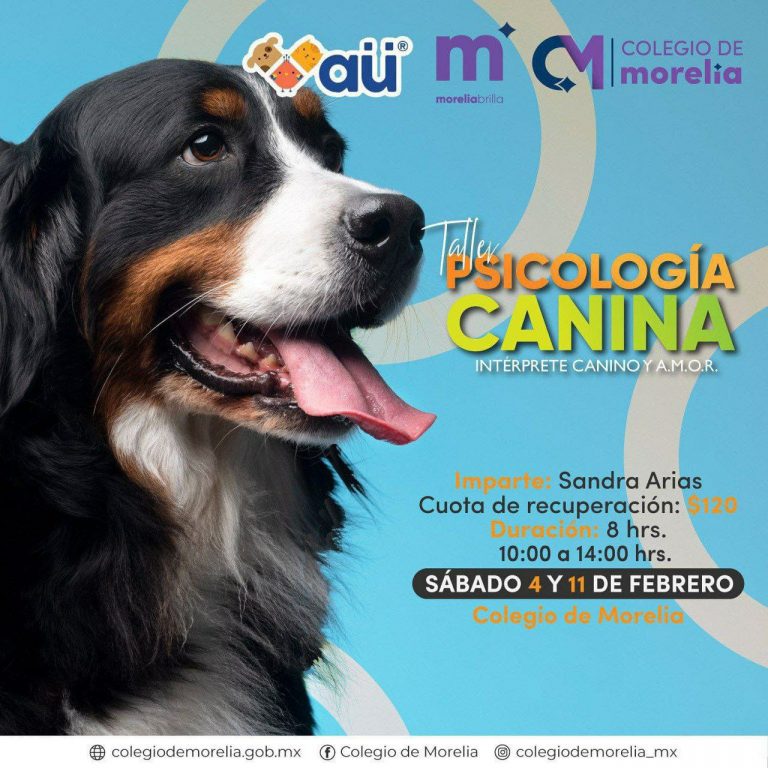Colegio de Morelia invita a su curso sobre Psicología Canina.<br>
