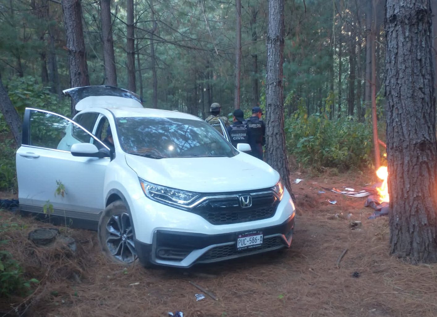 En Zitácuaro: tras operativo, SSP localiza campamento ilícito y vehículos robados.