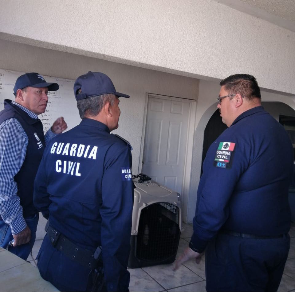 Área de Caninos de la Guardia Civil en óptimas condiciones: SSP