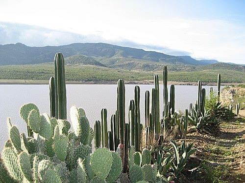INTEGRA FGR INVESTIGACIÓN POR EL DELITO DE USO Y APROVECHAMIENTO DE AGUAS NACIONALES SIN PERMISO
