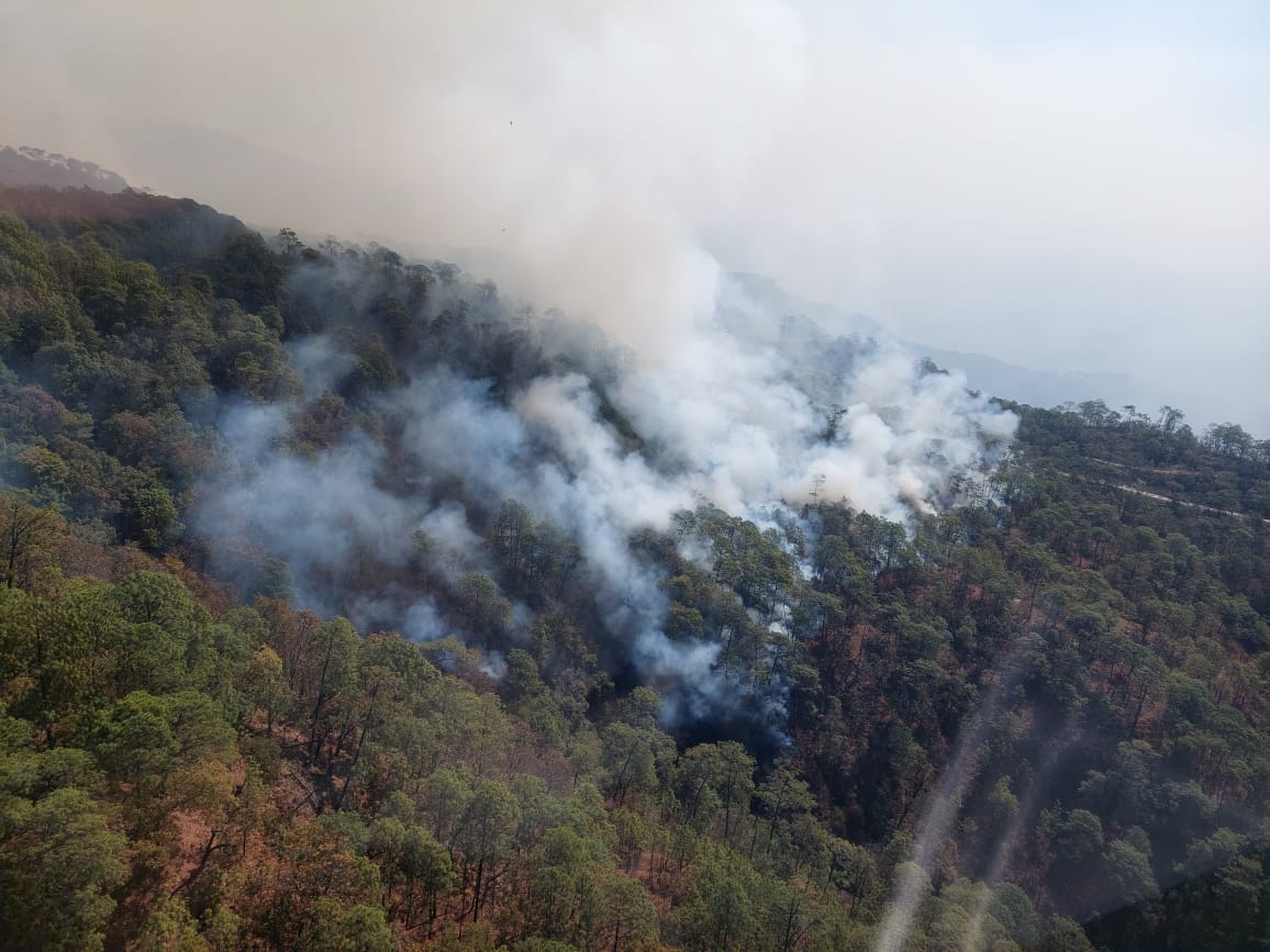 Liquidan incendio forestal en Cotija, reporta Cofom