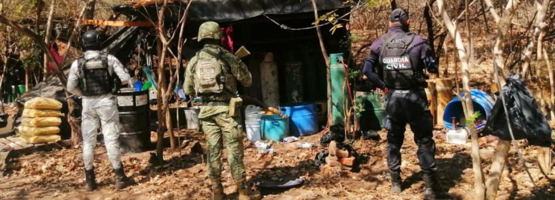 SSP y Sedena desmantelan un campamento ilícito con químicos, en Buenavista.