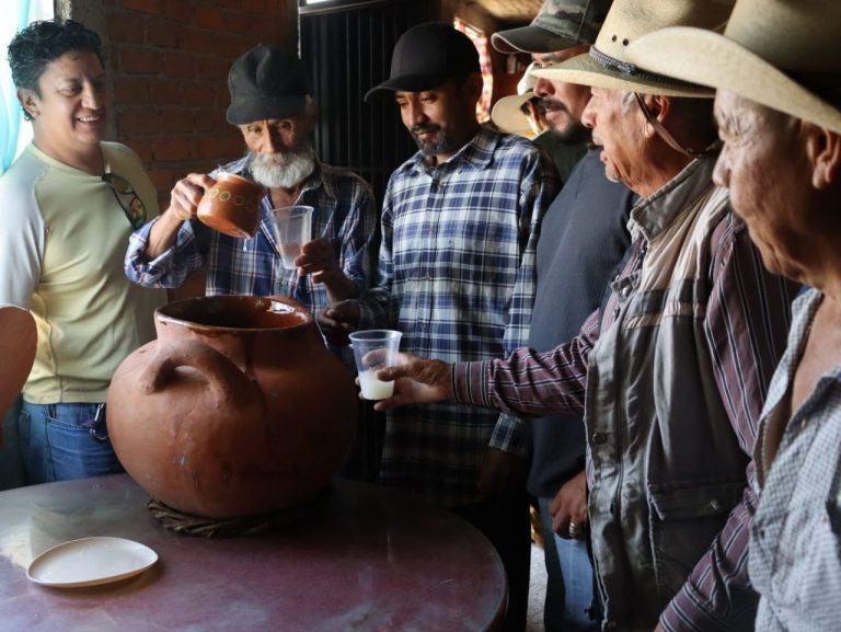 Gobierno de Morelia impulsa la producción del pulque en Santiago Undameo.