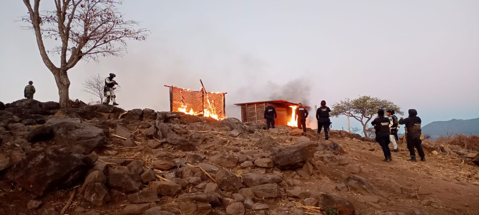 Tras agresión, SSP localiza y desmantela campamento ilícito en Zitácuaro.