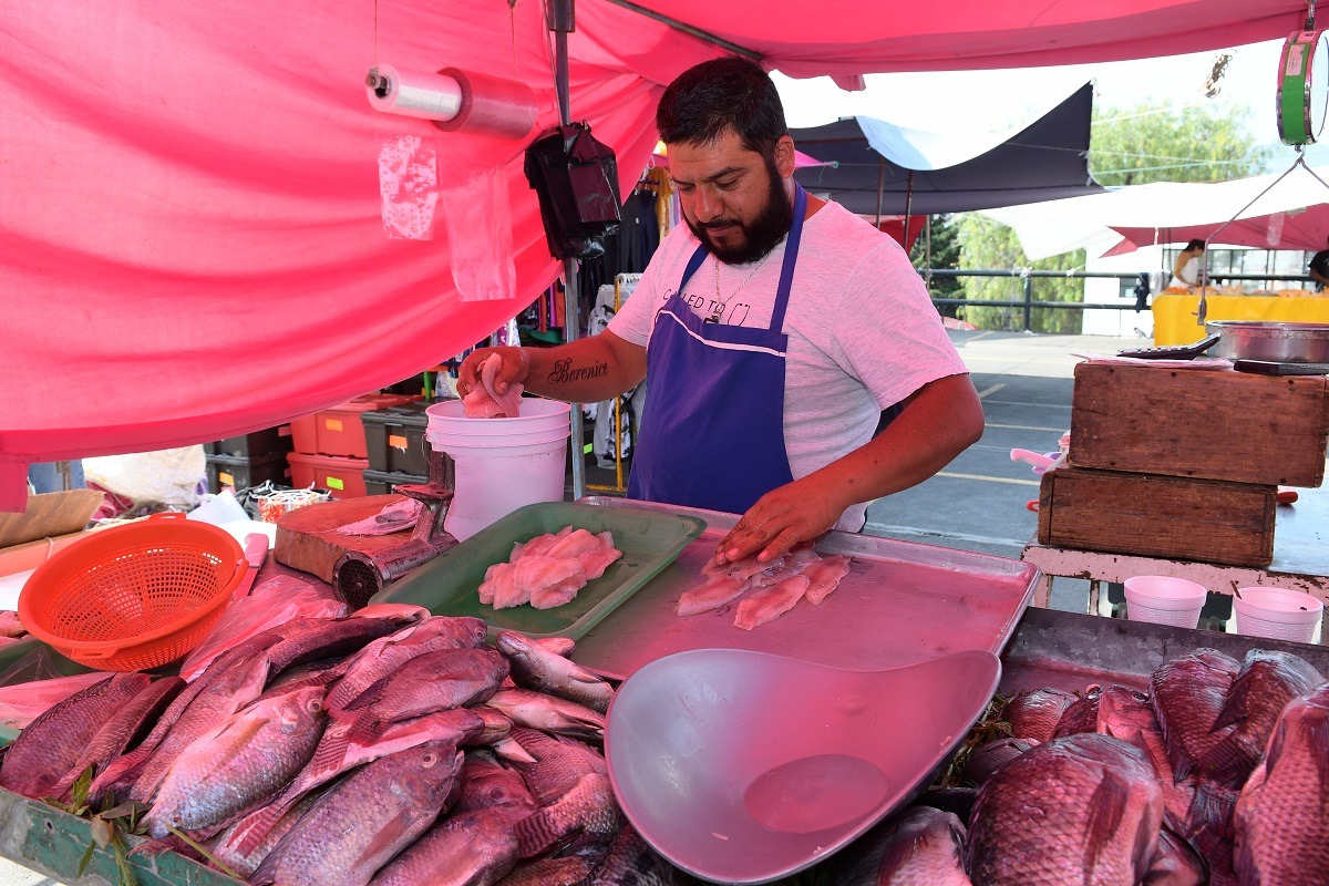 Ofrecen Centros de Abasto Popular calidad y precio en pescados y mariscos