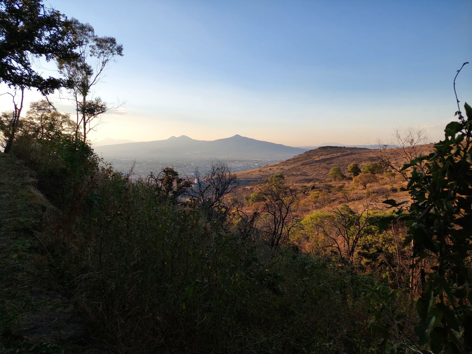Inicia consulta para decretar como Área Natural Protegida el cerro del Quinceo