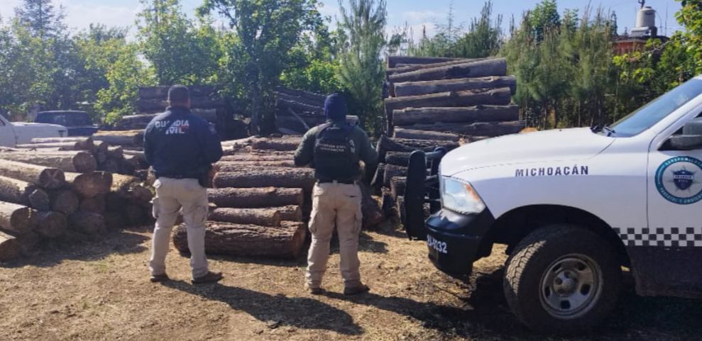 Guardia Civil asegura 41 troncos de pino en el predio denominado Pinzanes