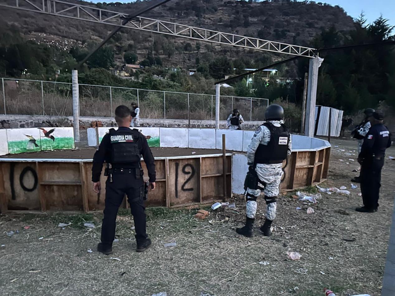 En Panindícuaro, Guardias Civil y Nacional desactivan pelea de gallos clandestina