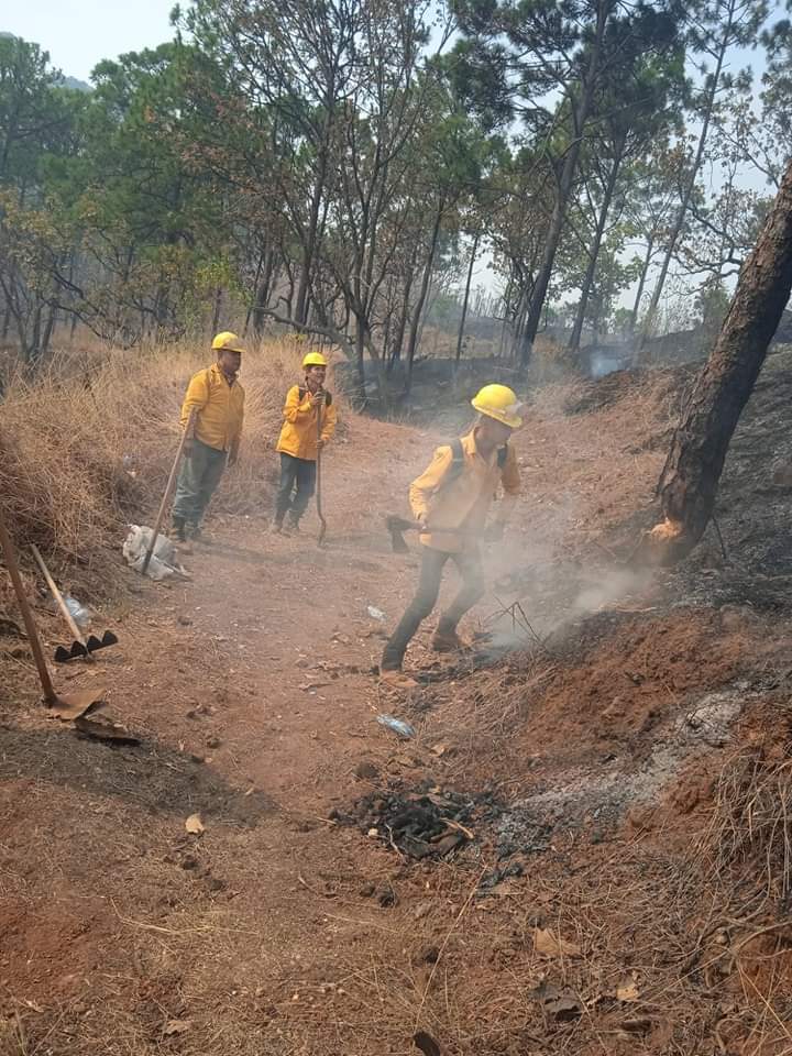 Despliegan helicóptero para sofocar incendio en San Ángel Zurumucapio