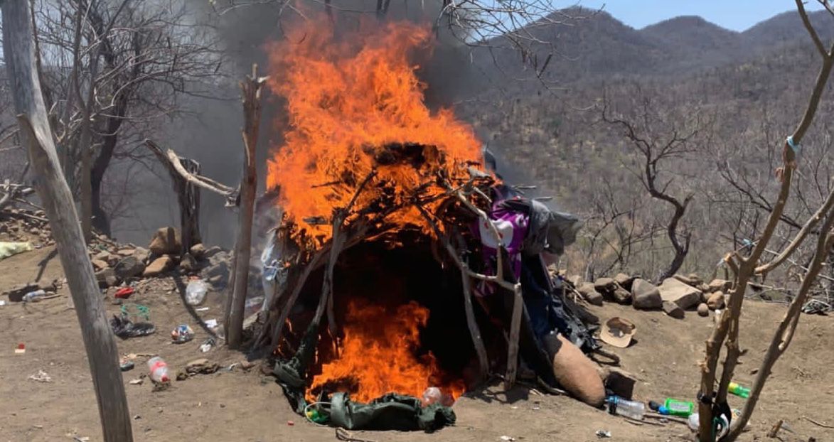 A través de la BOI Apatzingán, SSP localiza y destruye campamento ilícito