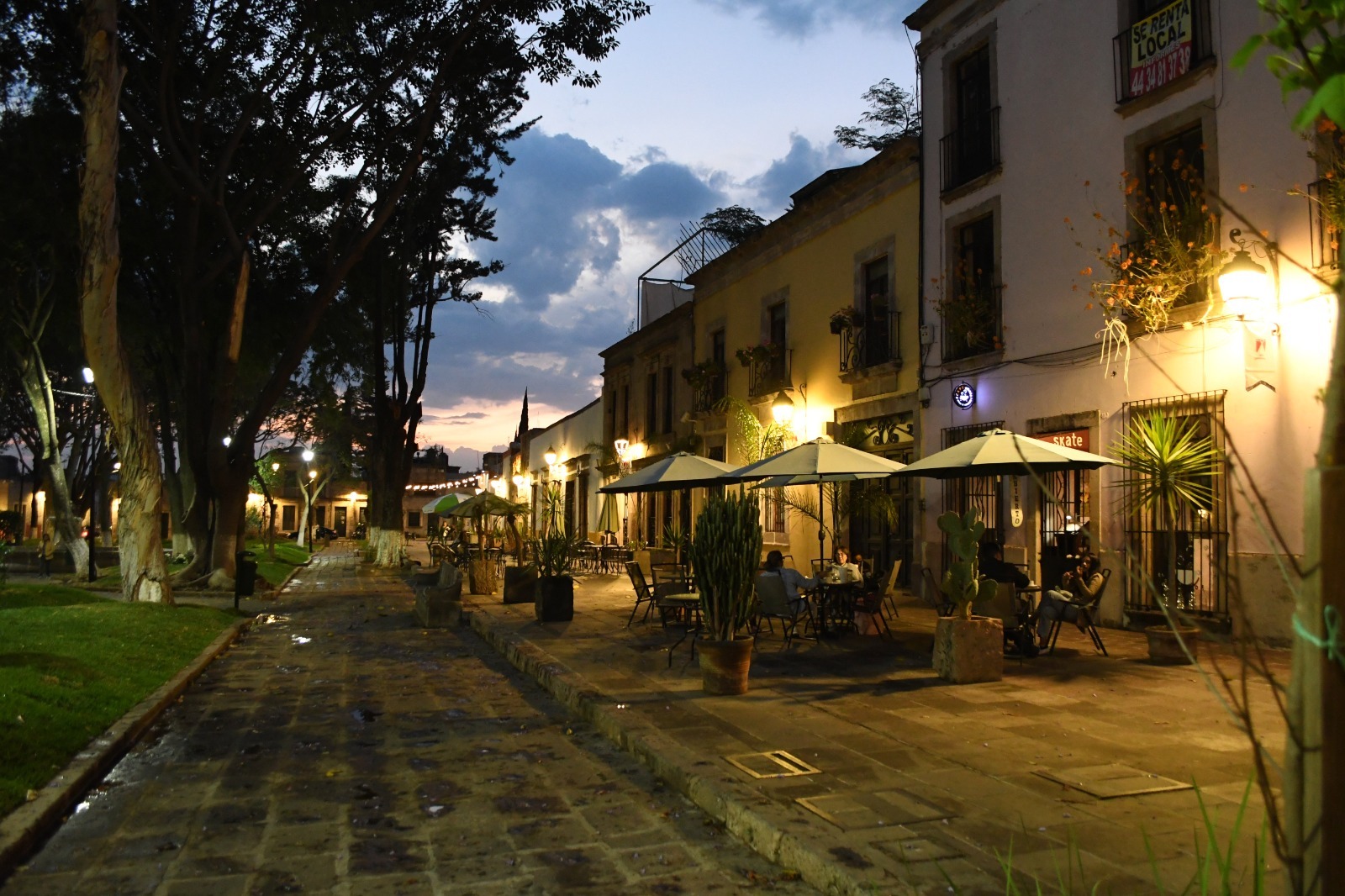 Jardín de la Soterraña, más verde y vivo que nunca.
