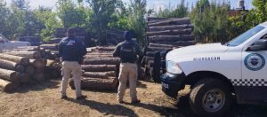 SSP asegura más de 40 piezas de madera, presuntamente ilegales; en Irimbo<br>