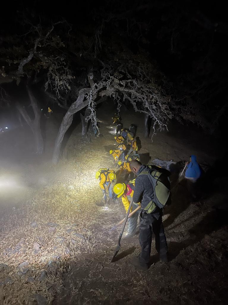 Sofocan incendio en cerro de La Beata, reporta Cofom.