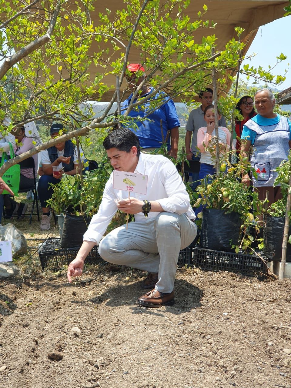 Gobierno de Soluciones impulsa la autosuficiencia alimentaria y sustentabilidad con Huertos de Traspatio