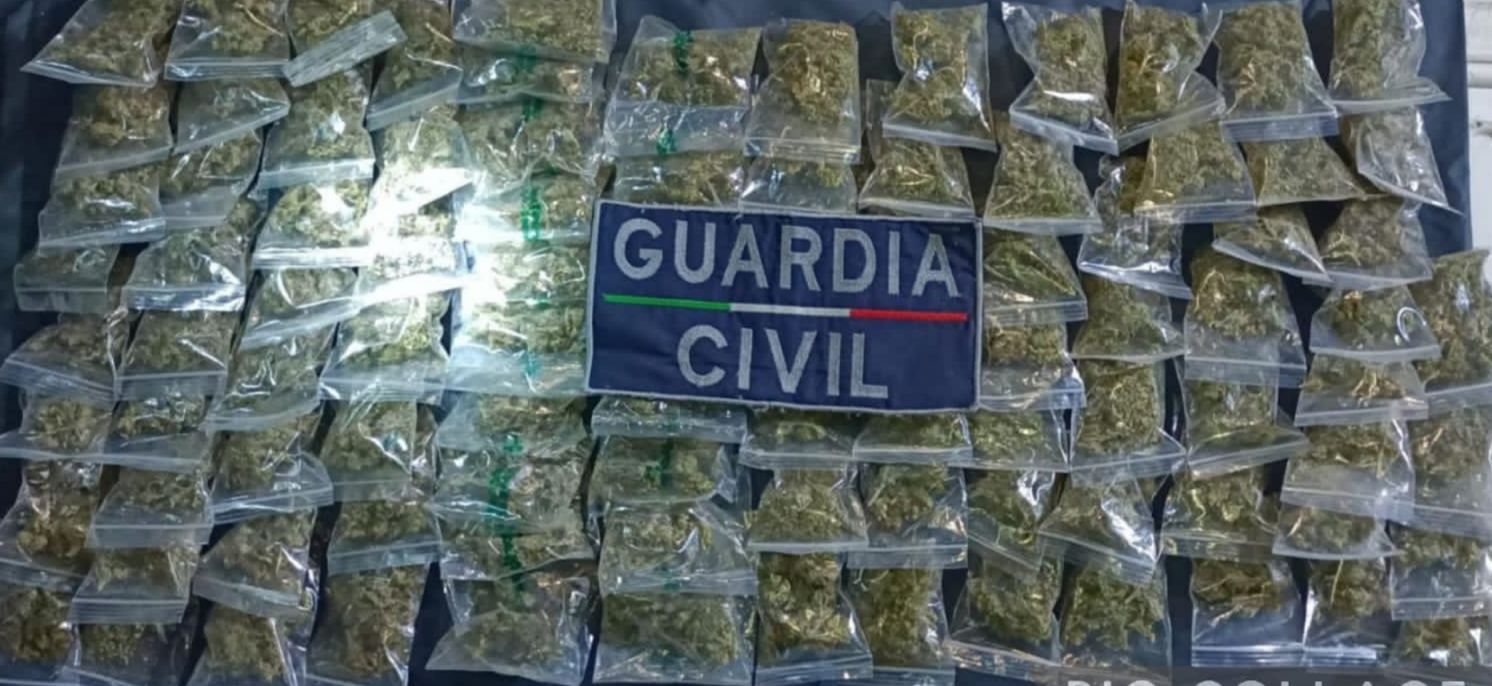 Guardia Civil asegura más de un kilo de marihuana; hay dos detenidos