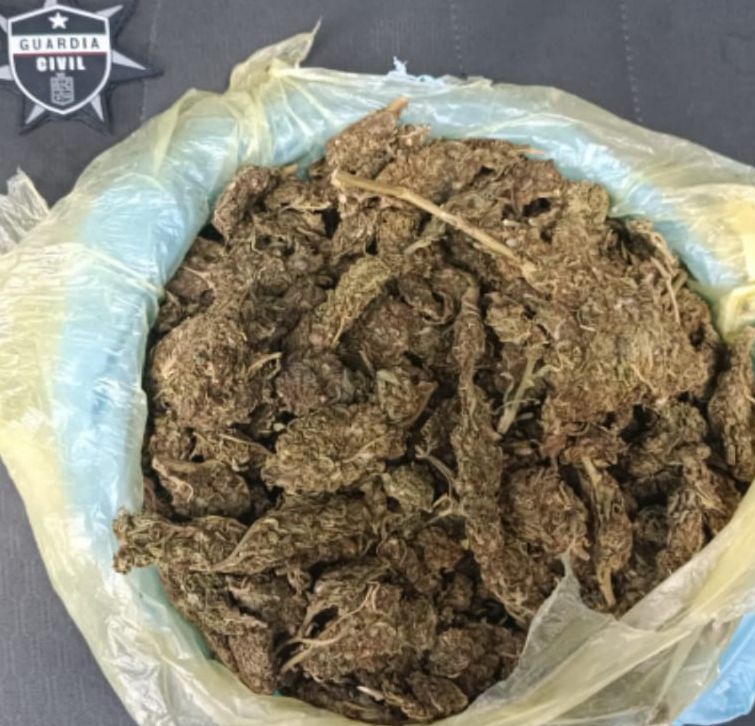 En Morelia, Guardia Civil detiene a uno con más de 350 gramos de marihuana.