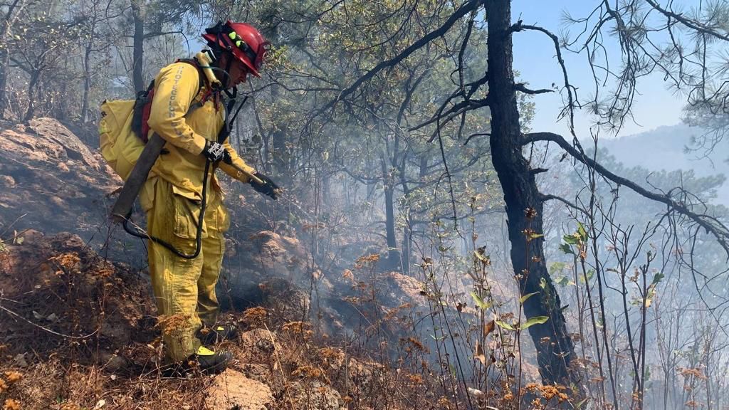 Este domingo ha sido el más caluroso del año, alerta Secma