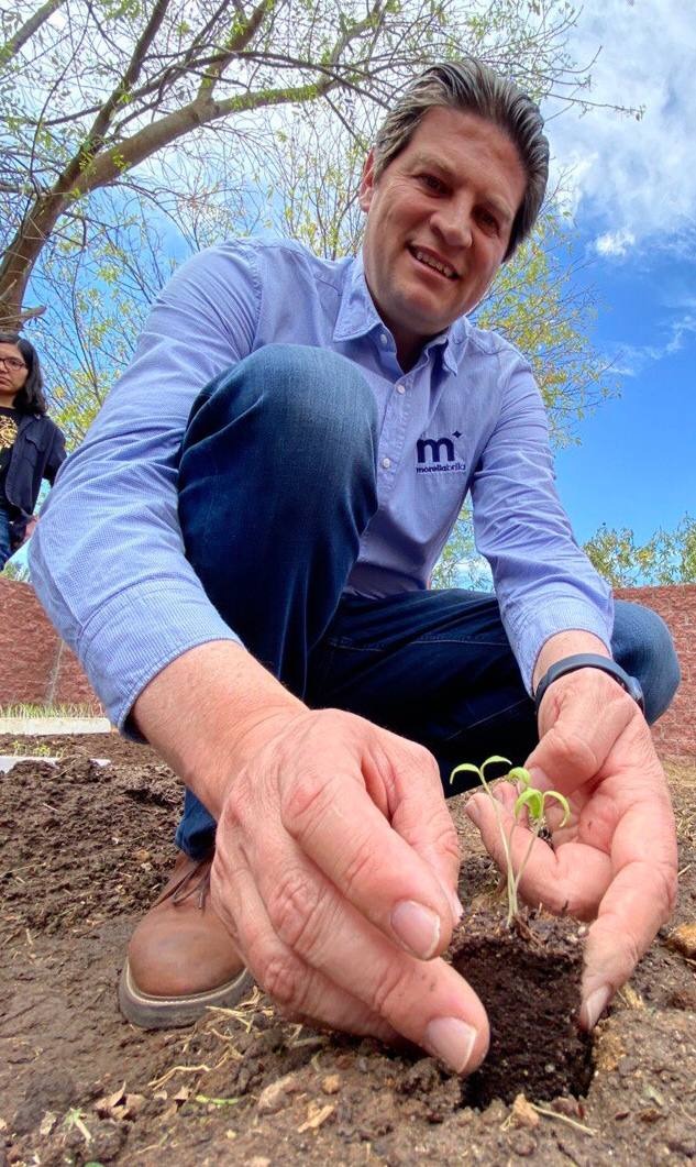 Morelia creará un vivero municipal para producir 1 millón de árboles