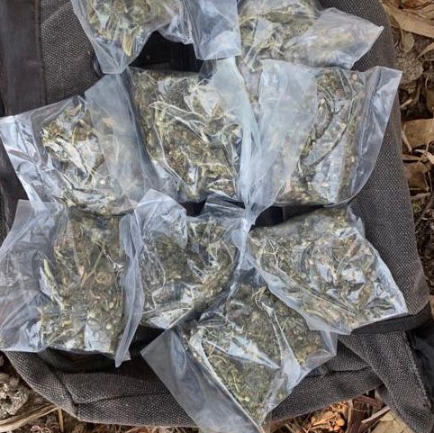 En las últimas horas, SSP decomisa varios envoltorios de droga; hay 12 detenidos