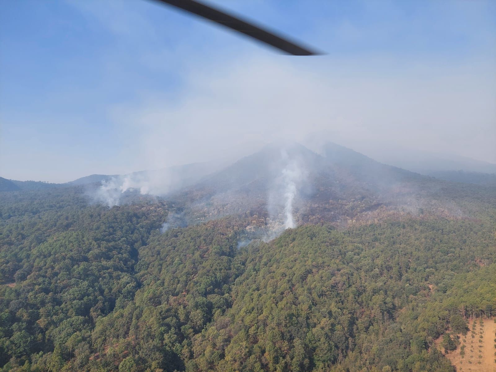 Más de 400 brigadistas combaten incendio forestal en cerro Grande.
