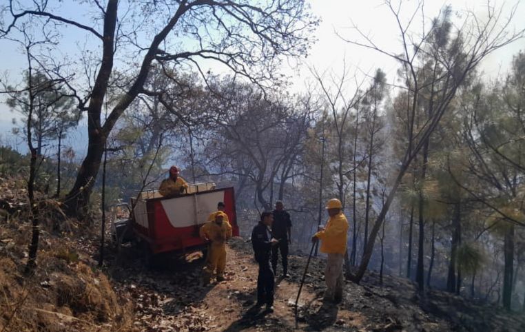 Coadyuva personal de SSP para sofocar incendio forestal, en Tacámbaro.