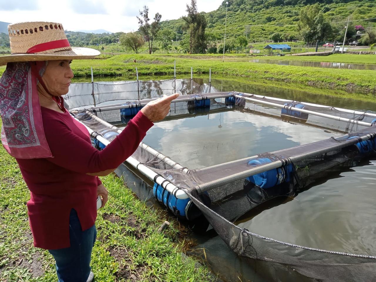 Compesca emite recomendaciones a acuicultores ante la ola de calor