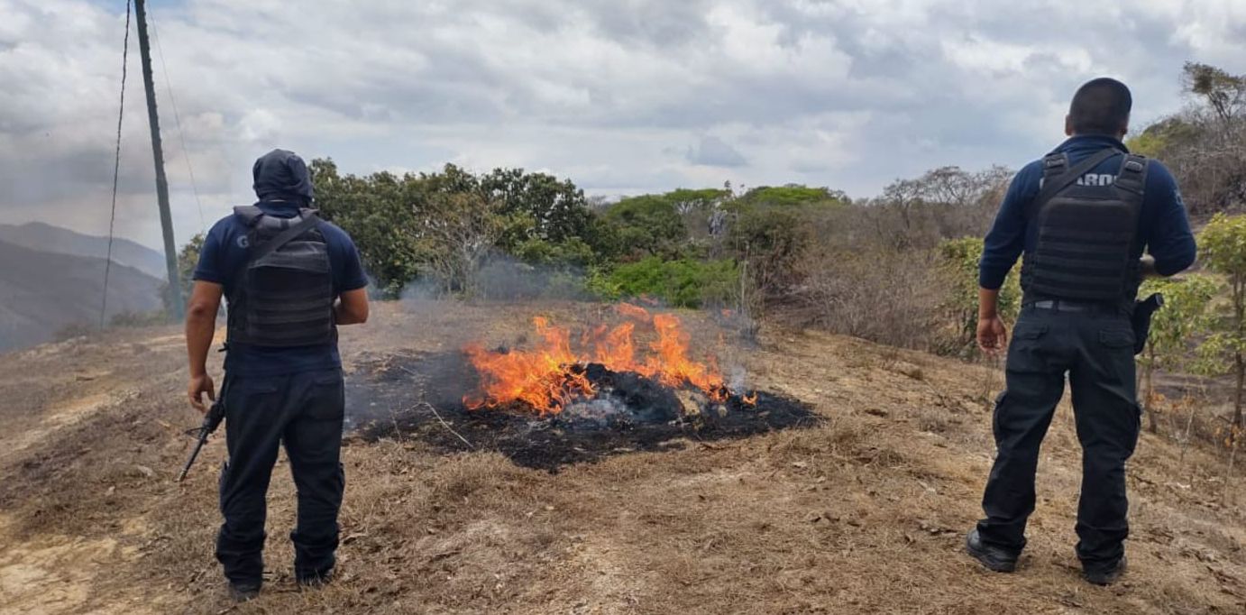 En Chinicuila, SSP y GN desmantelan campamento ilícito y aseguran armamento; hay un detenido.