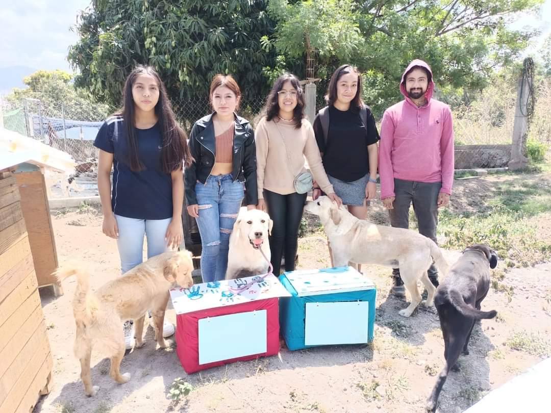 ¡Cambia vidas, adopta y esteriliza! Encuentra tu compañero peludo y sé un dueño responsable»