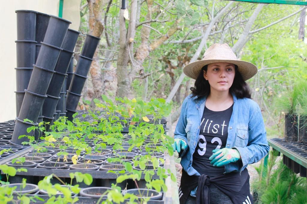 Aconseja Secma esperar hasta el 20 de julio para empezar a reforestar