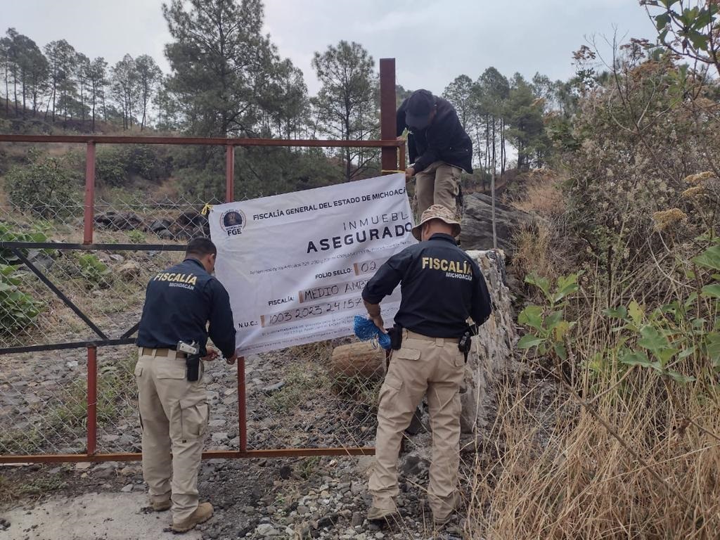 En Ziracuaretiro, asegura FGE predio relacionado en delitos contra el ambiente con fines de plantación de aguacate