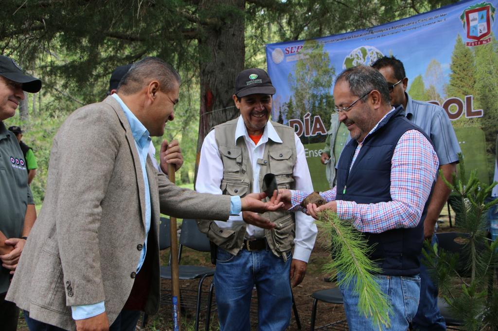 José Luis Téllez participó en la plantación de 2 mil pinos en el marco del Día Mundial del Árbol y el mes del bosque