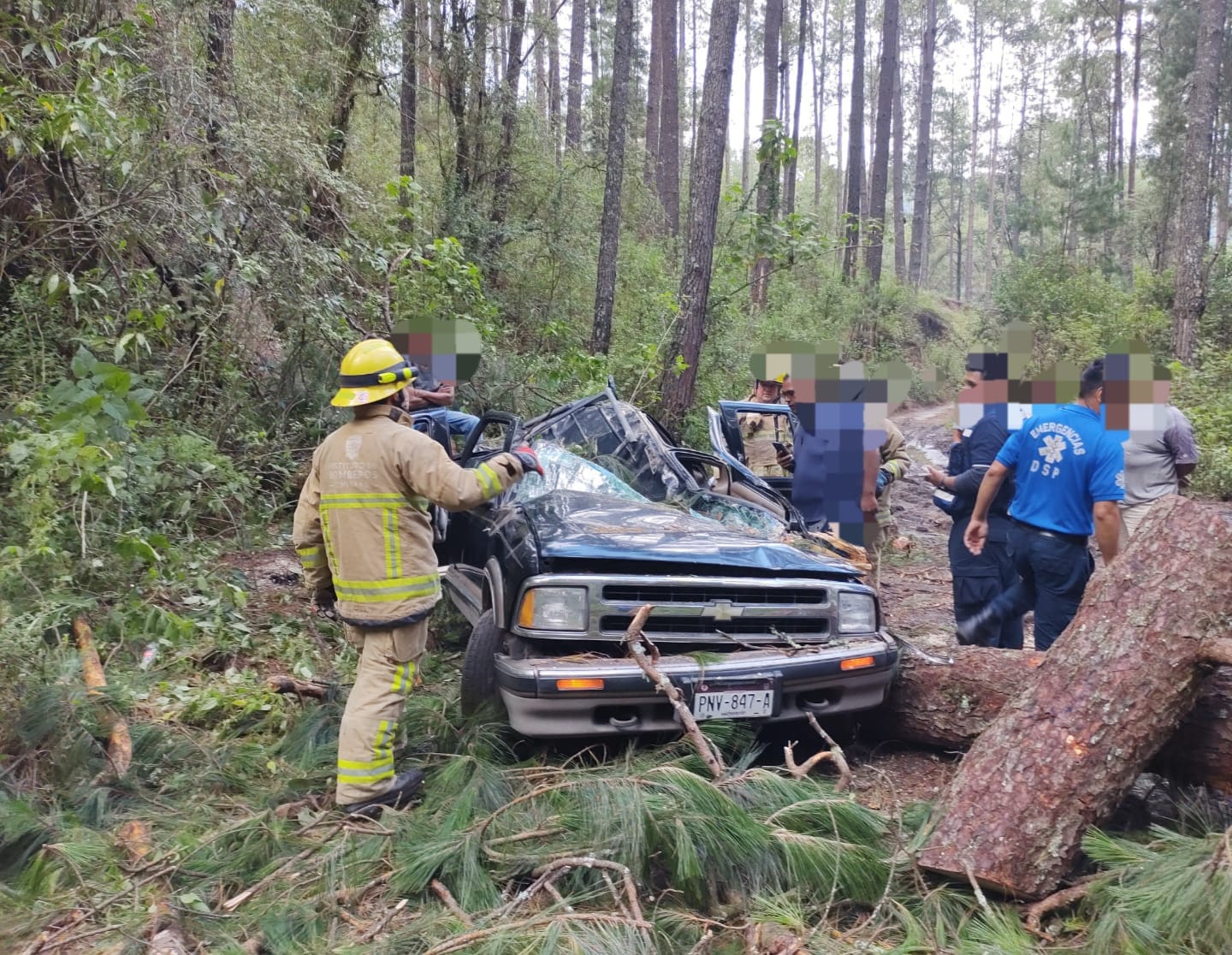 Muere una persona al caer un árbol sobre camioneta