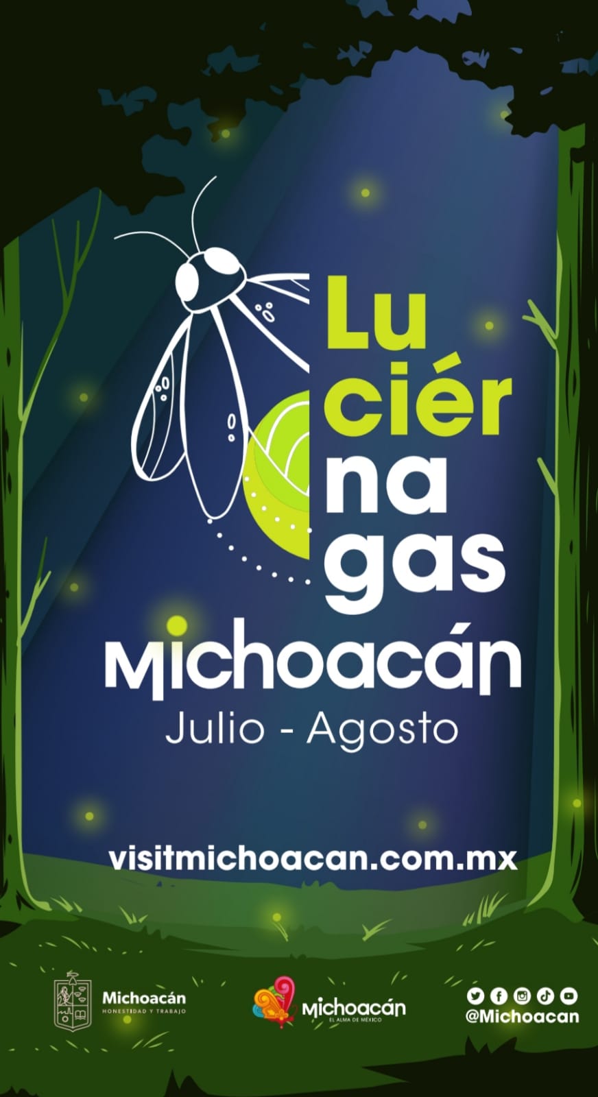 Llegó la Temporada de Avistamiento de Luciérnagas