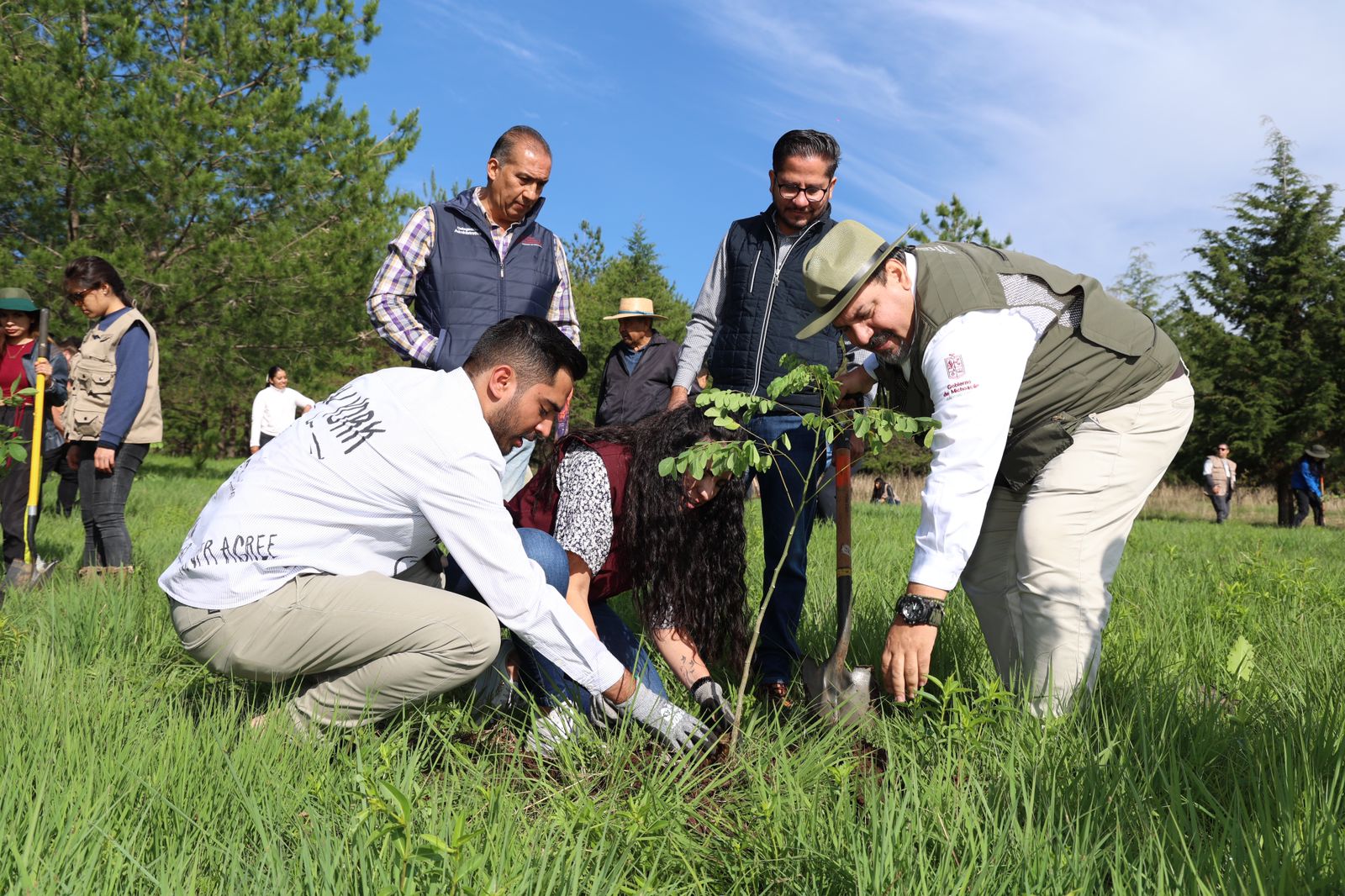 Ijumich y Secma reforestan área de conservación de la Loma de Tiristarán