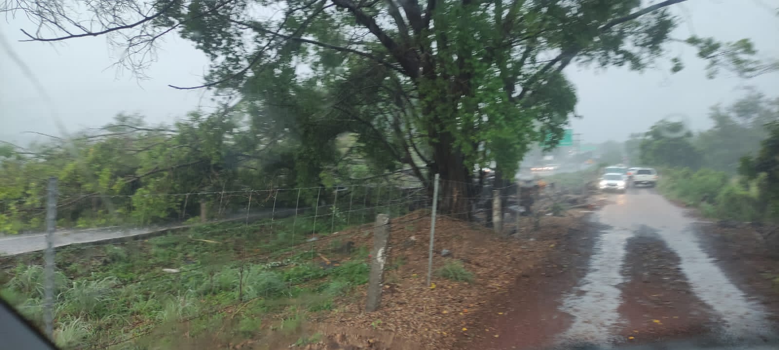 Emergencia en la Autopista Siglo XXI por caída de árboles.