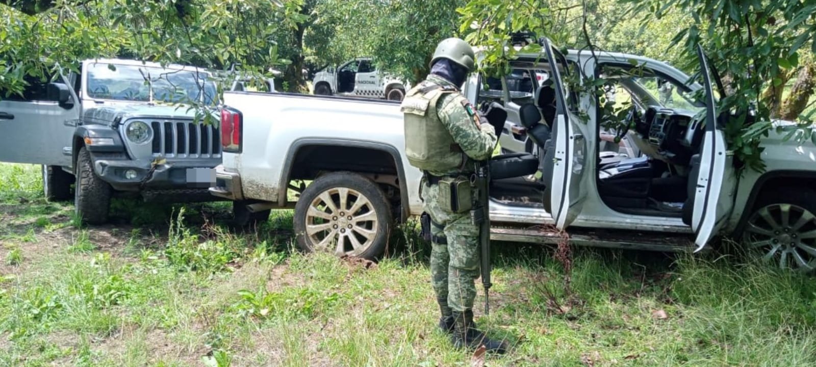 Un detenido, armamento y vehículos asegurados en acción operativa en La Basilia.