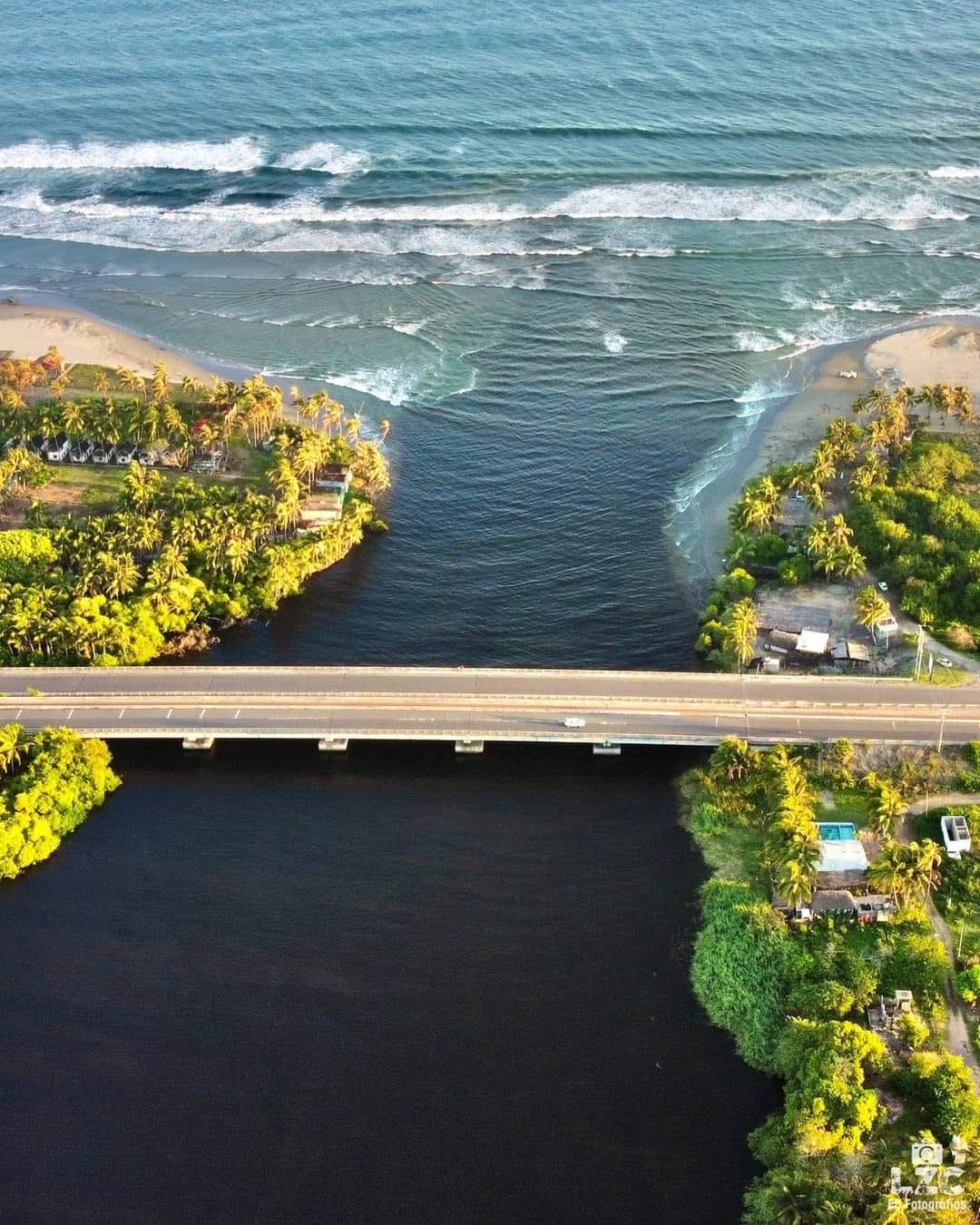 Tortugas, paisajes y otros atractivos, este verano en las Playas de Michoacán.