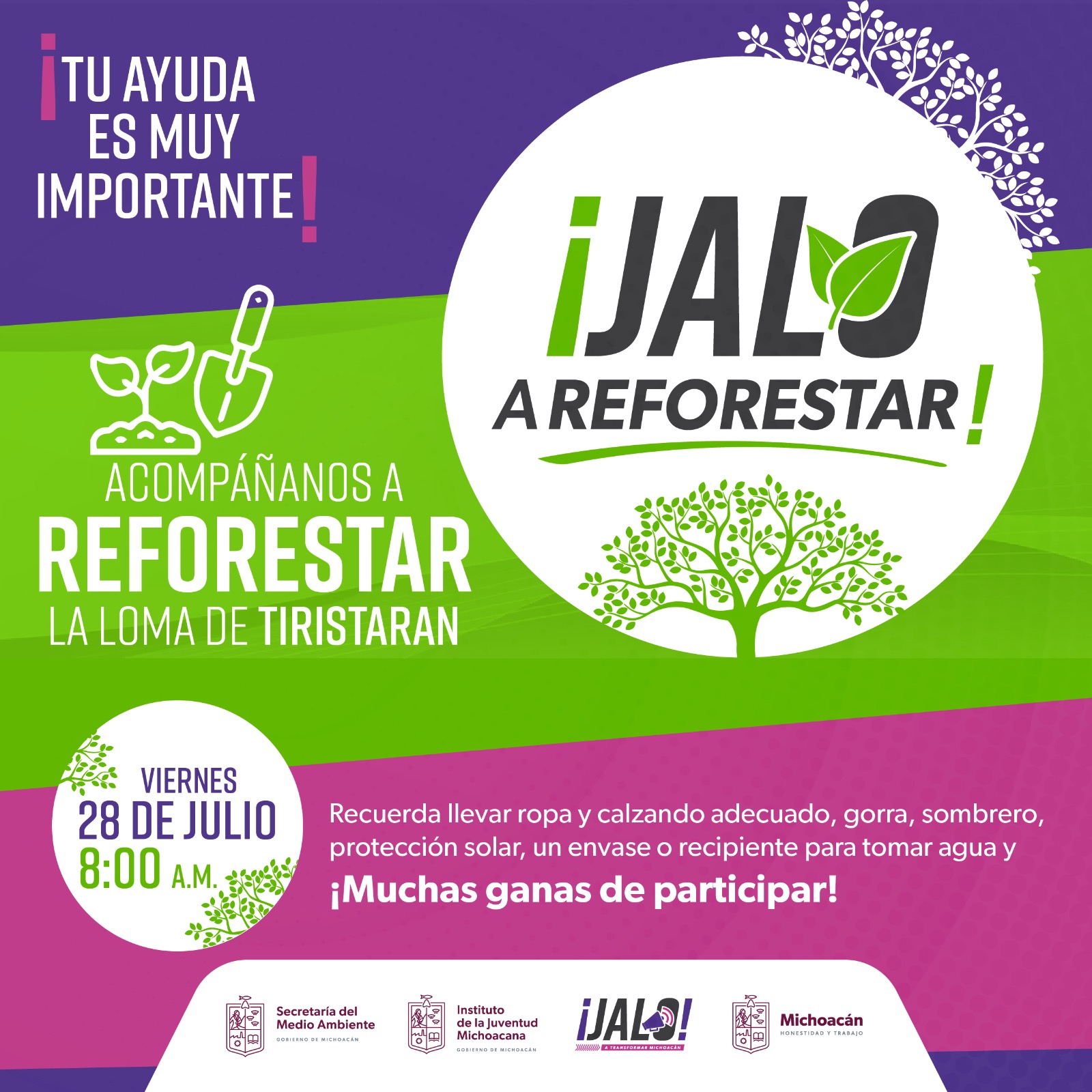 Ijumich y Secma invitan a participar en la iniciativa Jalo a Reforestar.
