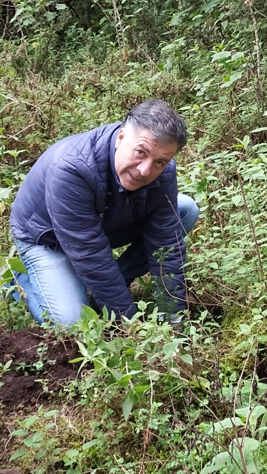 Concluyeron jornadas de reforestación en el hábitat de la Mariposa Monarca
