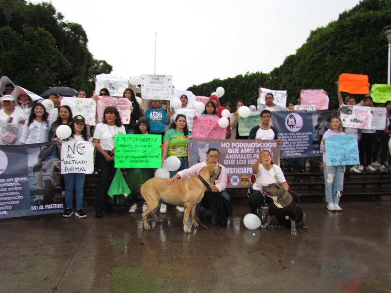 Asociaciones y ciudadanía se manifiestan en contra del maltrato animal