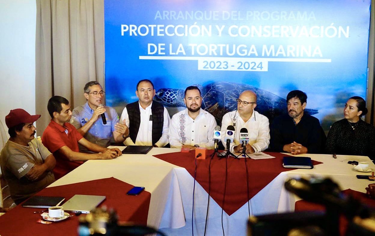 Compesca liberará esta temporada 2 millones de crías de tortuga marina