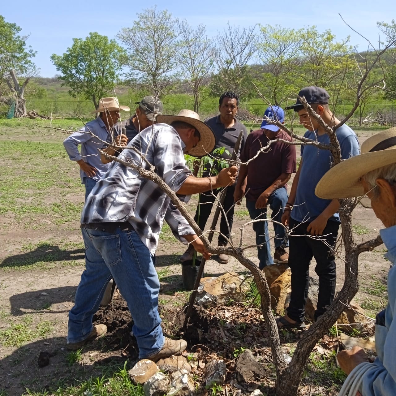 Con plantación de árbol sagrado, Cecytem refrenda compromiso con el medio ambiente