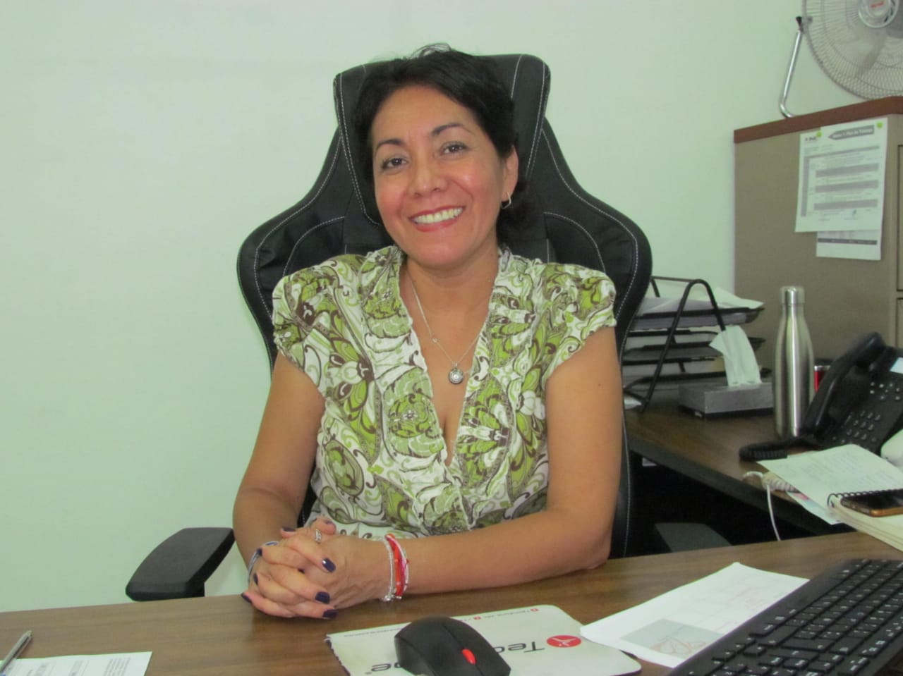 INE imparte curso sobre observación Electoral