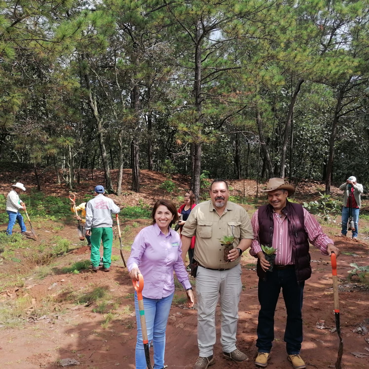 Michoacán busca denominación de Agave Responsable con el Ambiente