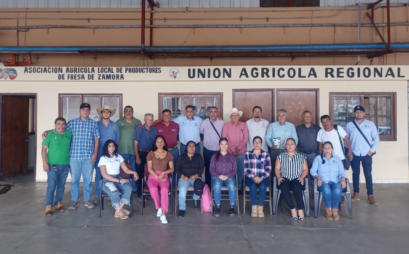 Investiga Sader hongo que afecta cultivos de fresa