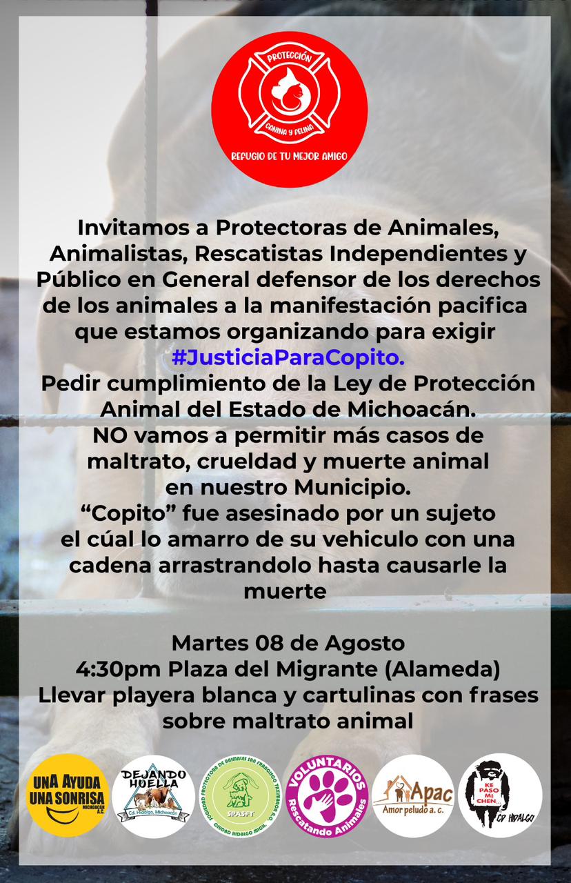 Marcha pacífica en Cd. Hidalgo exigen justicia para Copito y todos los animales maltratados.