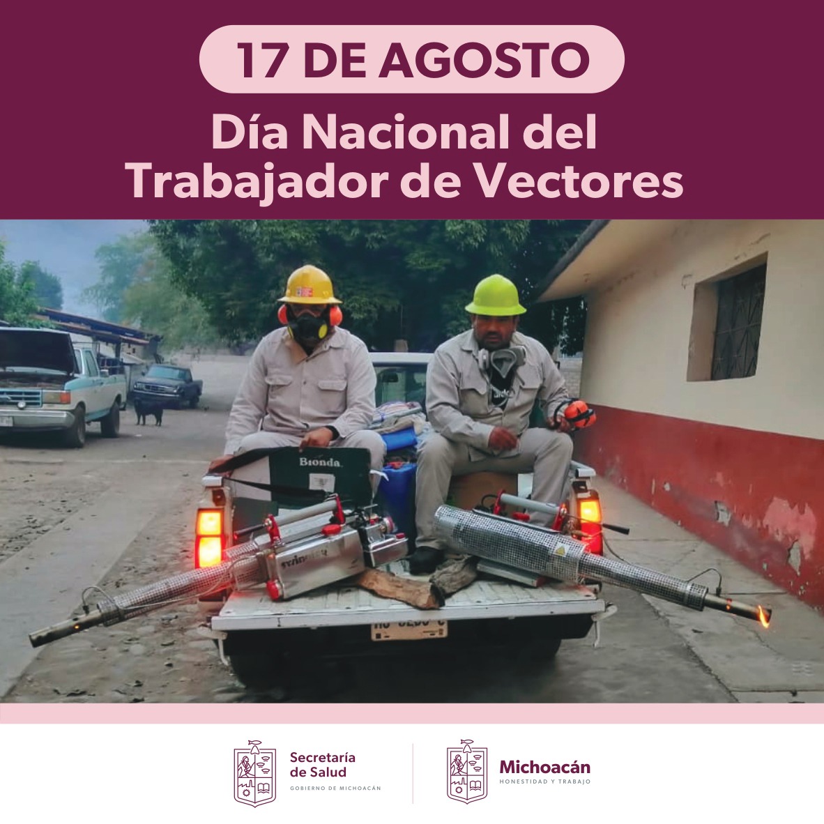 Michoacán acumula 6 años libre de zika y chikungunya: SSM.