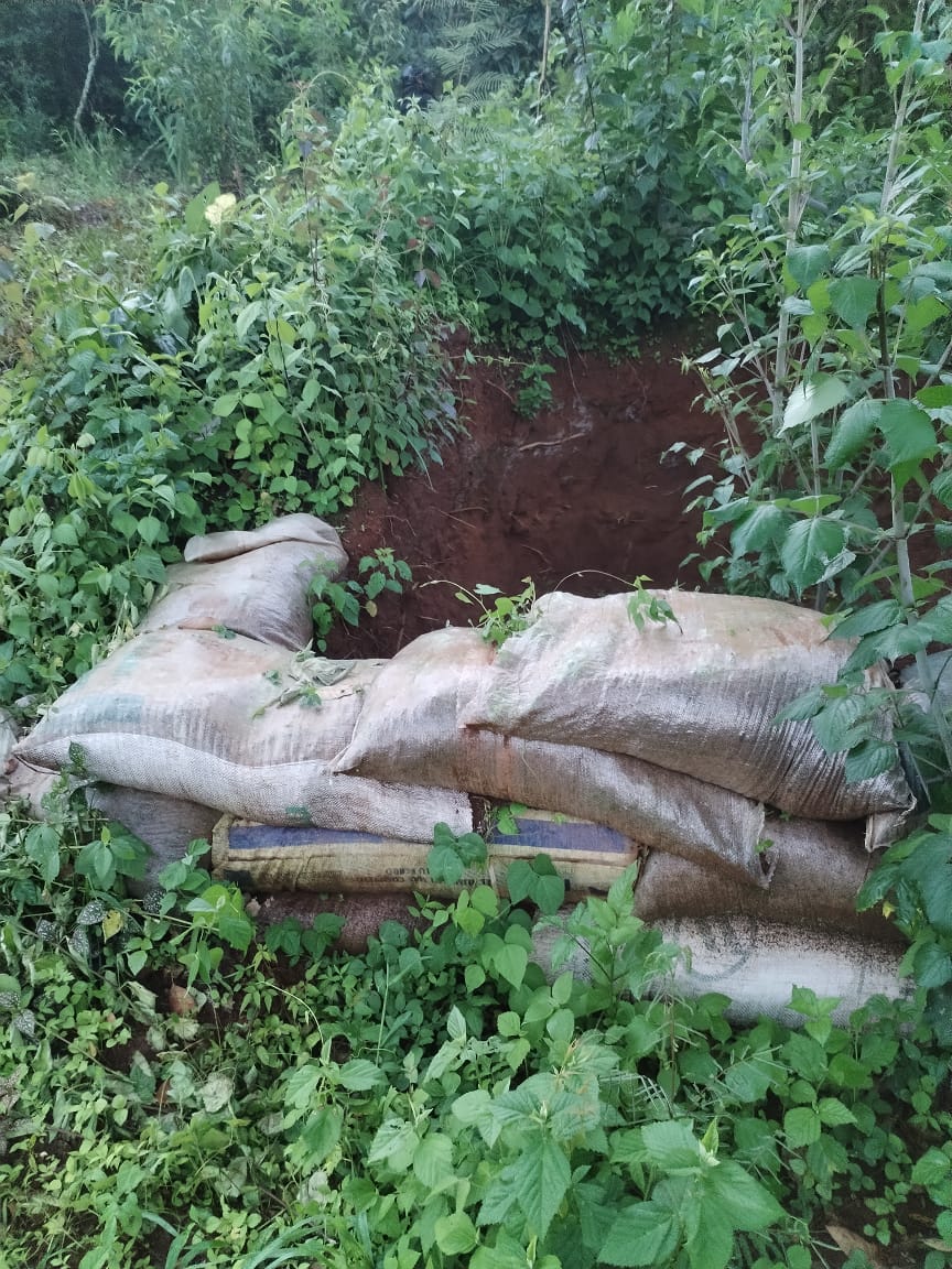 En operativo conjunto, desmantelan campamento de célula delincuencial: SSP   