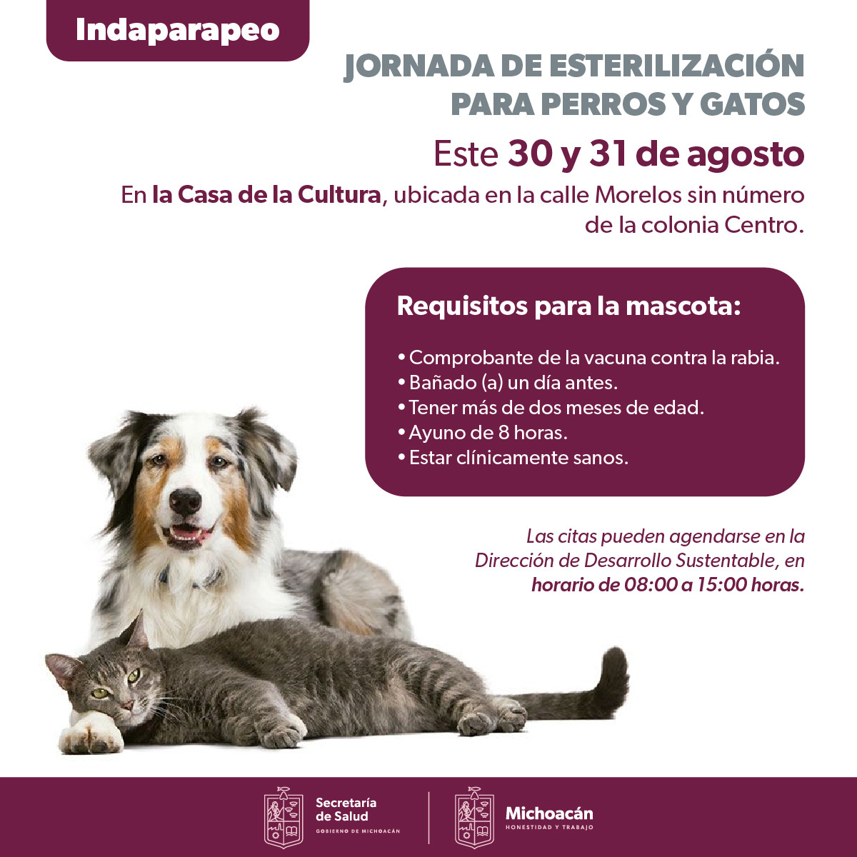 Llevará SSM jornada de esterilización canina y felina a Indaparapeo.